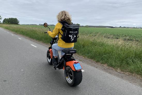 Proef de Polder